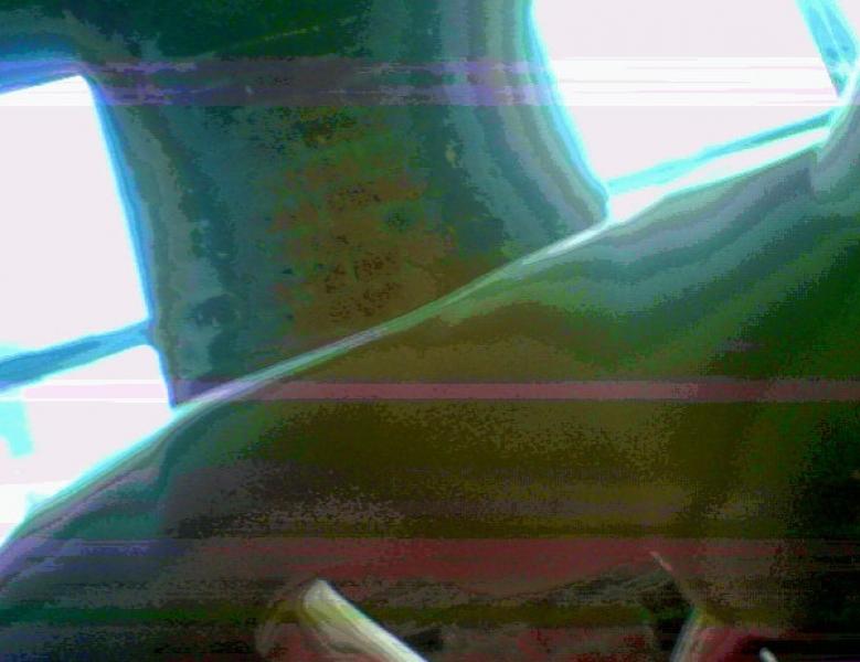 लीली सोबीस्कीचे नग्न फोटो 3 1