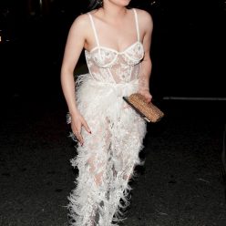Ariel Winter Puts on a Very Sexy Display in a Sheer Dress 11 Photos