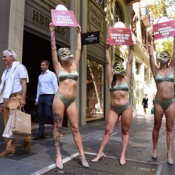 Bikini clad Models in Crocodile Masks Protest 17 Photos
