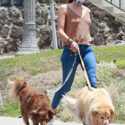 Braless Aubrey Plaza Takes Her Dogs For a Walk in Los Feliz 29 Photos
