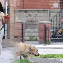 Camila Cabello is Pictured While She Walks Tarzan in Toronto 15 Photos