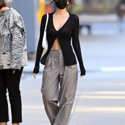 Emily Ratajkowski Looks Svelte Just 3 Weeks After Giving Birth As She Strolls NYC 43 Photos