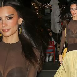Emily Ratajkowski Puts The Fappening Figure on Display in a See Through Top 13 Photos