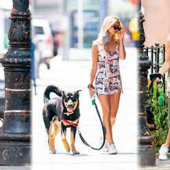 Emily Ratajkowski Steps Out For a Dog Walk in NYC 30 Photos