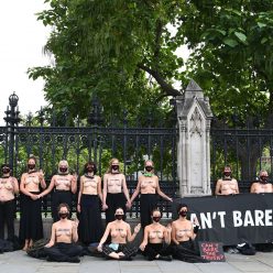 Extinction Rebellion Parliament Protest 30 Nude Photos
