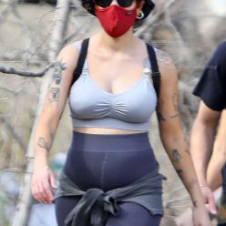 Halsey Flashes Her Baby Bump on a Hike 40 Photos