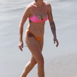 Ireland Baldwin Beats the Heat in Her Bikini at the Beach 34 Photos