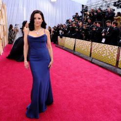 Julia Louis Dreyfus Flaunts Her MILF Body at the 2020 Academy Awards 53 Photos