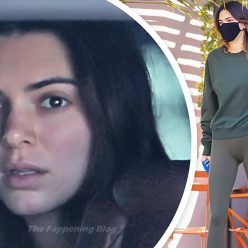 Kendall Jenner Hot 2 New Collage Photos