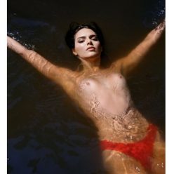 Kendall Jenner Topless New Pic