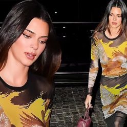 Kendall Jenner is Seen Braless in a See Through Dress 44 Photos