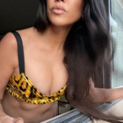 Kourtney Kardashian Flaunts Her Tits 10 Photos