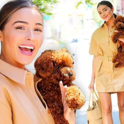 Leggy Olivia Culpo Steps Out in Neutral Browns For a Walk with Adorable Pooch 22 Photos