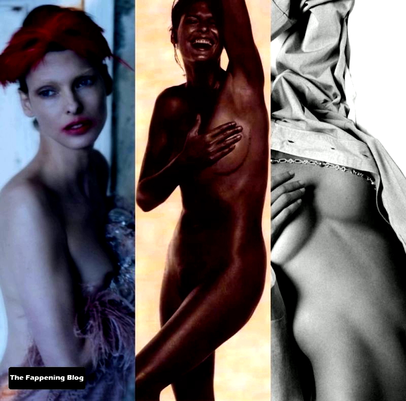 linda evangelista colección desnuda 8 fotos video celebridad desnuda