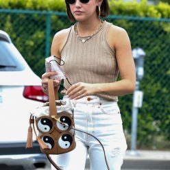 Lucy Hale Goes Braless in Beverly Hills 52 Photos