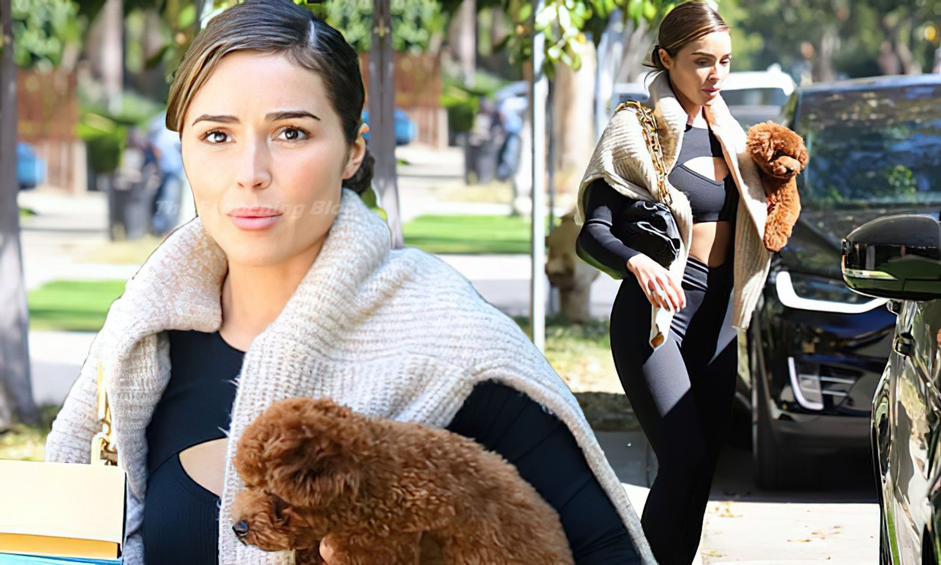 Olivia Culpo Flaunts Her Fit Body in WeHo (17 Photos)