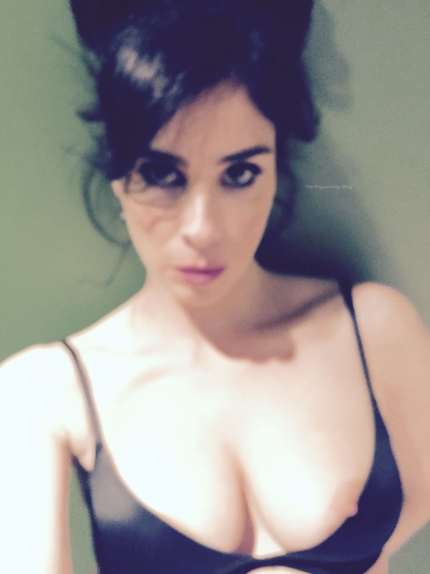 Sarah Silverman Nude Leaked The Fappening (4 Photos)
