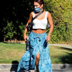 Sexy Vanessa Hudgens Is Pictured in Los Angeles 64 Photos