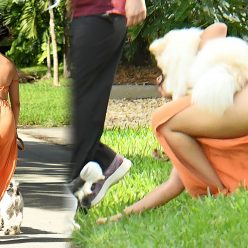Shawn Mendes 038 Camila Cabello Struggle with their Dogs on a Walk 139 Photos