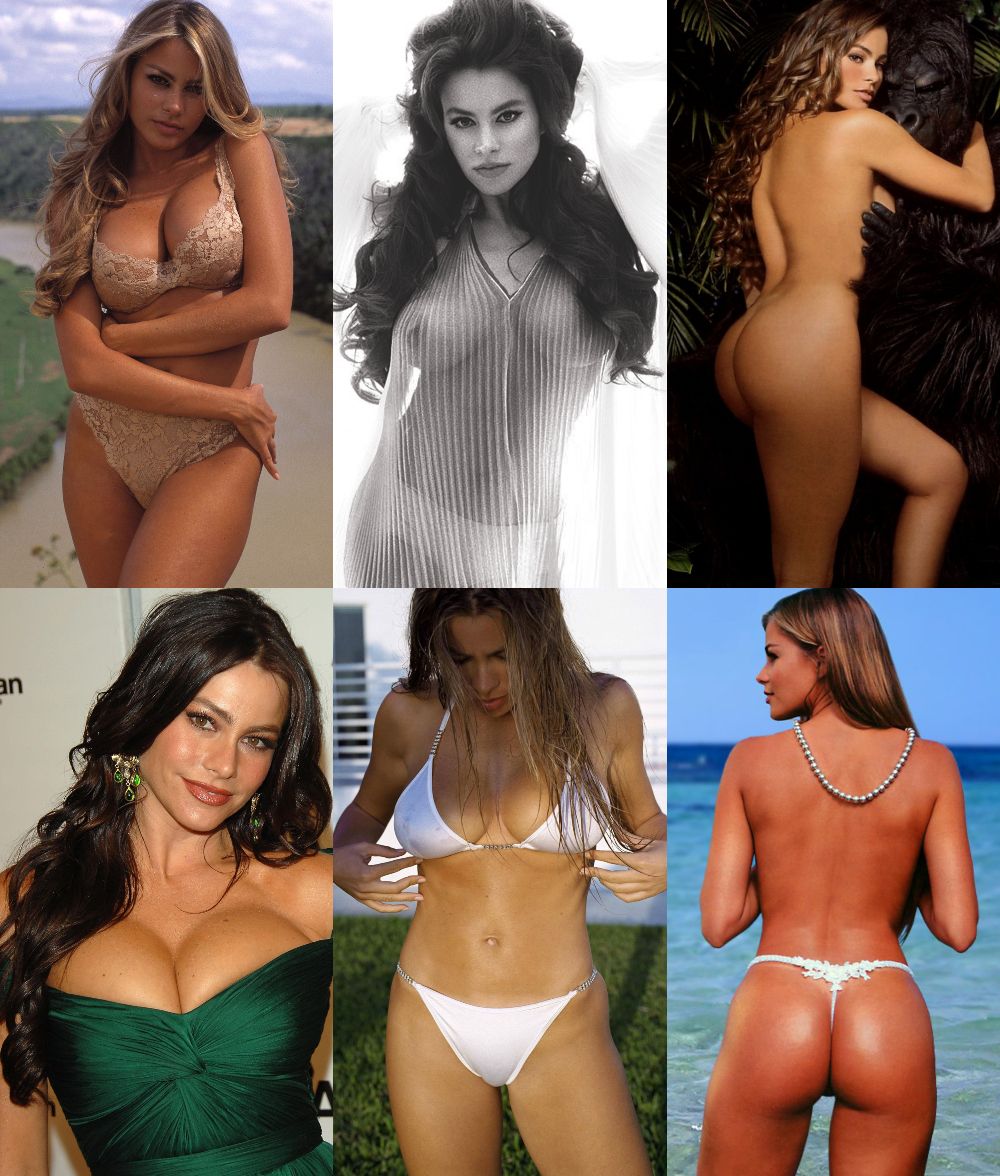 Sofia Vergara Nude & Sexy (1 Collage Photo)