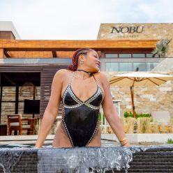 Taraji P. Henson Shows Off Her Stunning Figure at Nobu Hotel 21 Photos