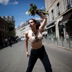 Topless Woman Protests in Front of the Elysee Palace in Paris 56 Photos
