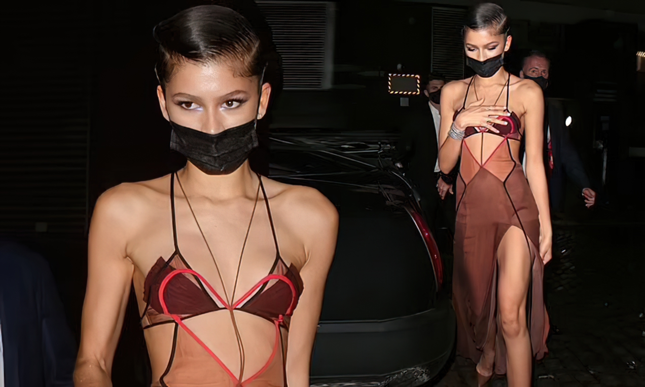 Zendaya Looks Hot in a Gown with Racy Sheer Panels at Chiltern Firehouse in London (46 Photos)