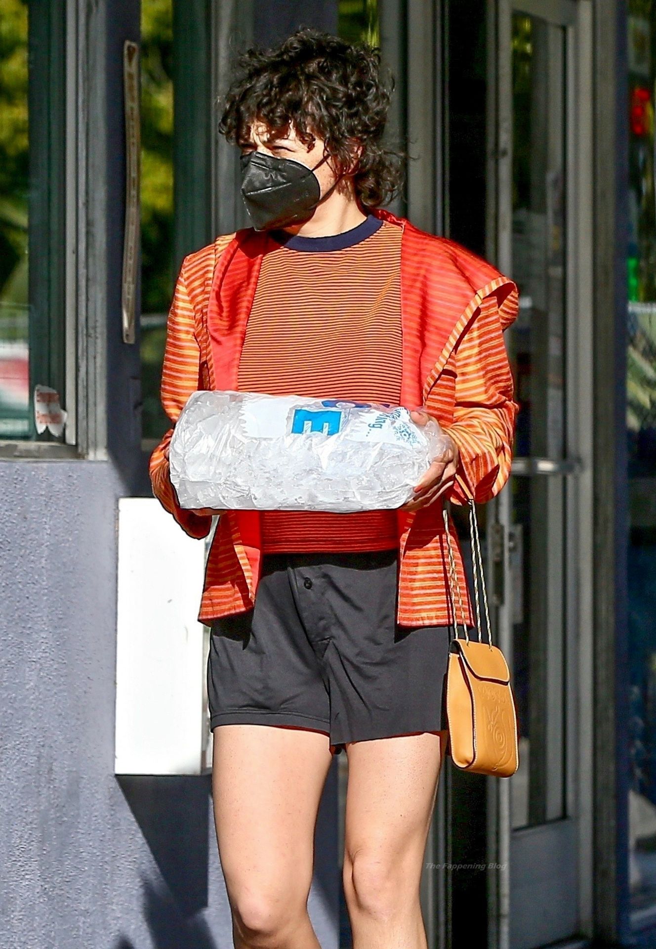Alia Shawkat Shows Her Sexy Legs Buying a Bag of Ice at a Gas Station in LA (15 Photos)