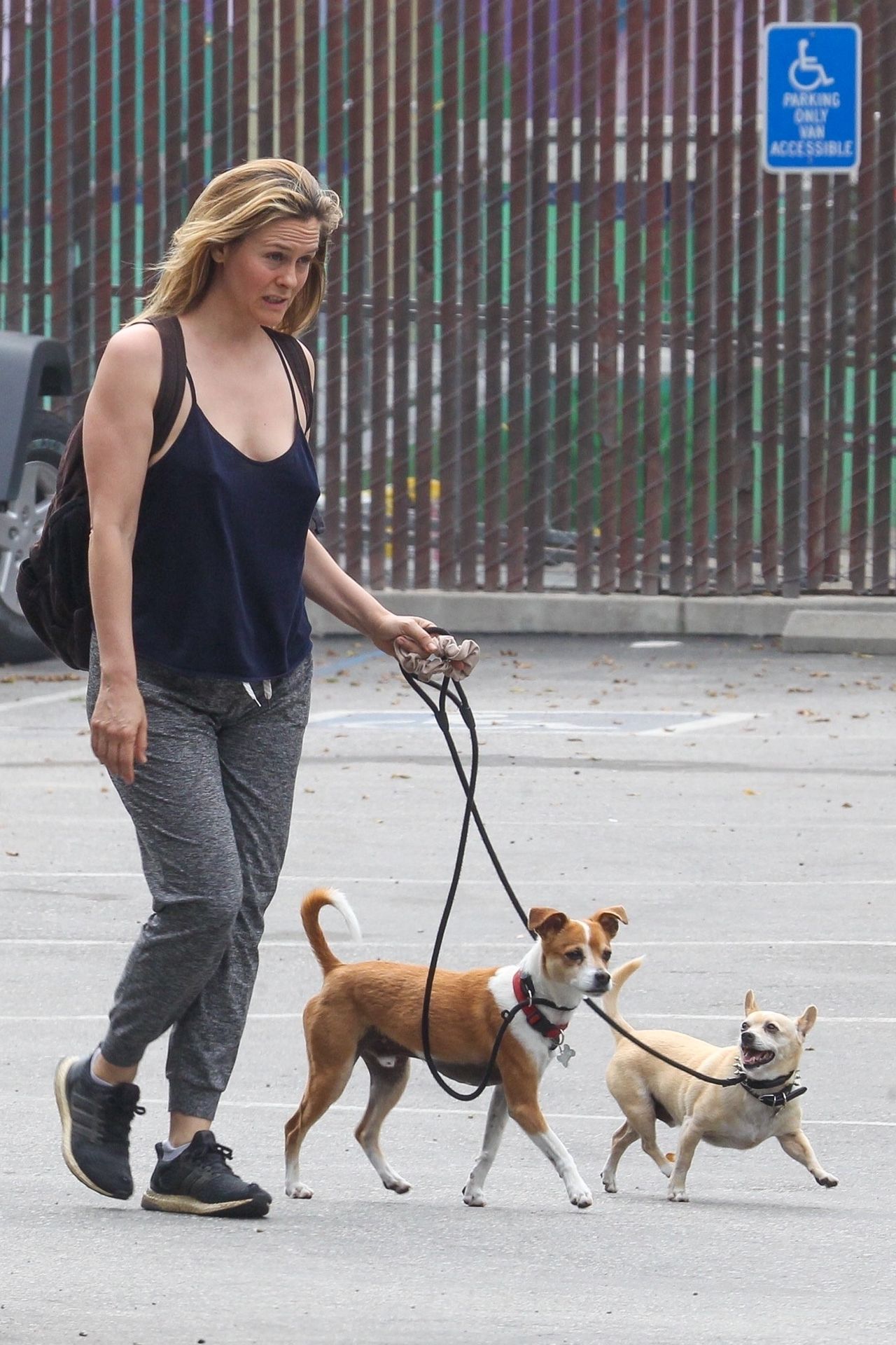 Alicia Silverstone Goes Braless While Walking with Her Dogs (37 Photos)