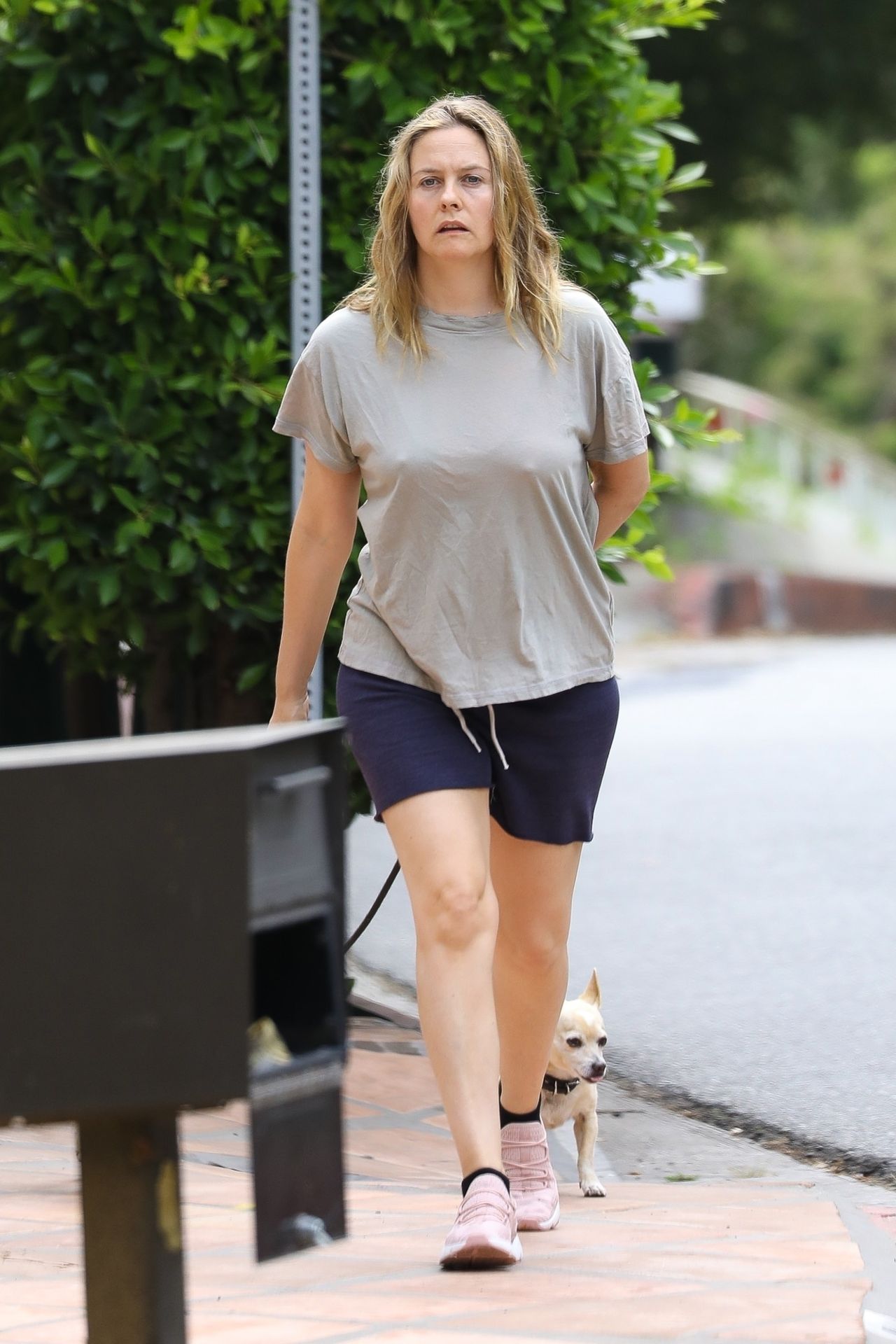 Alicia Silverstone Goes Mask-Free While Walking Her Dogs (20 Photos)