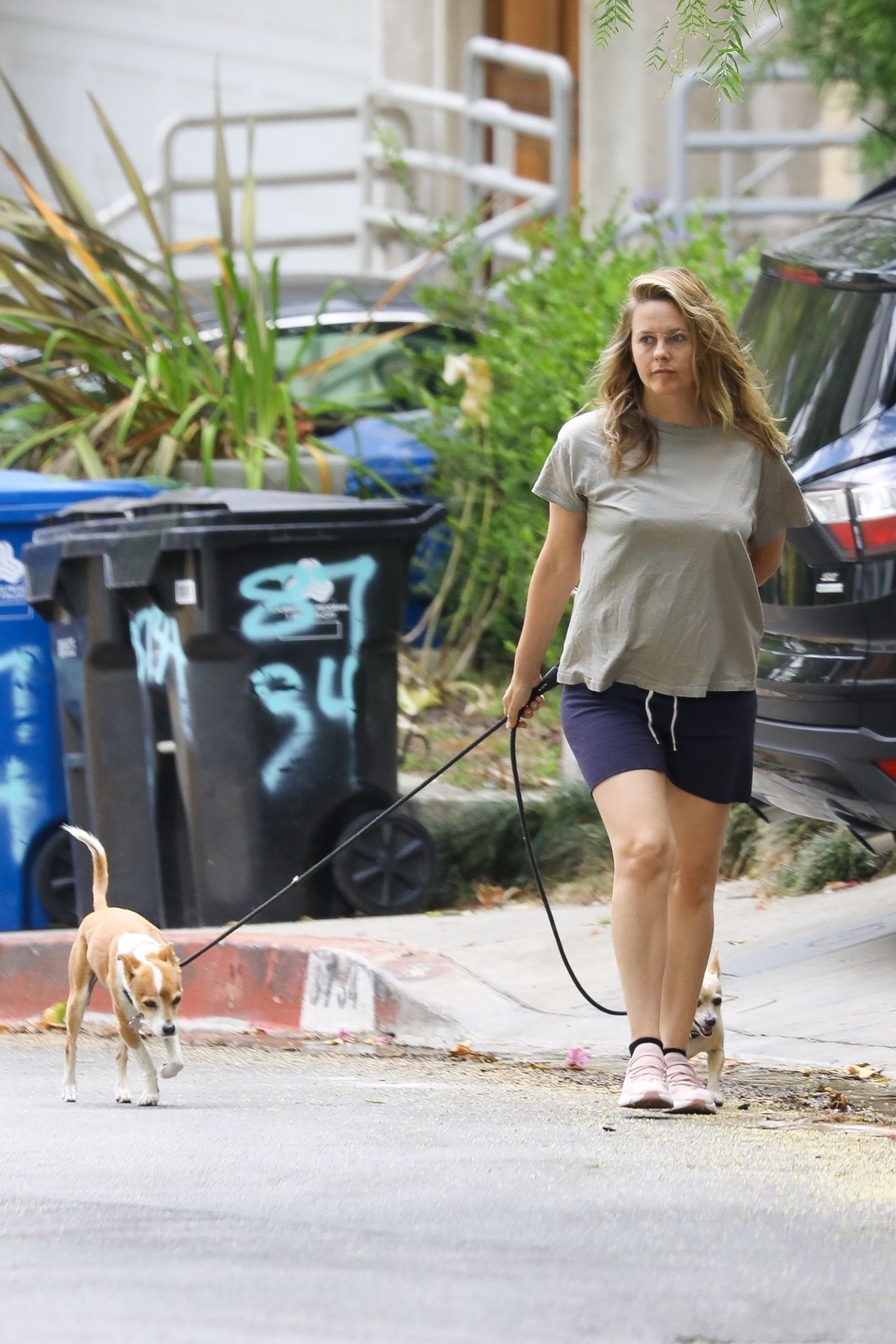 Alicia Silverstone Goes Mask-Free While Walking Her Dogs (20 Photos)
