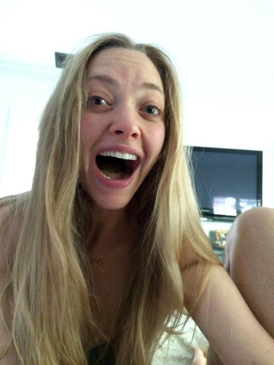 Amanda Seyfried Nude & Sexy (166 Photos + Leaked PORN and Hot Videos) [Updated]