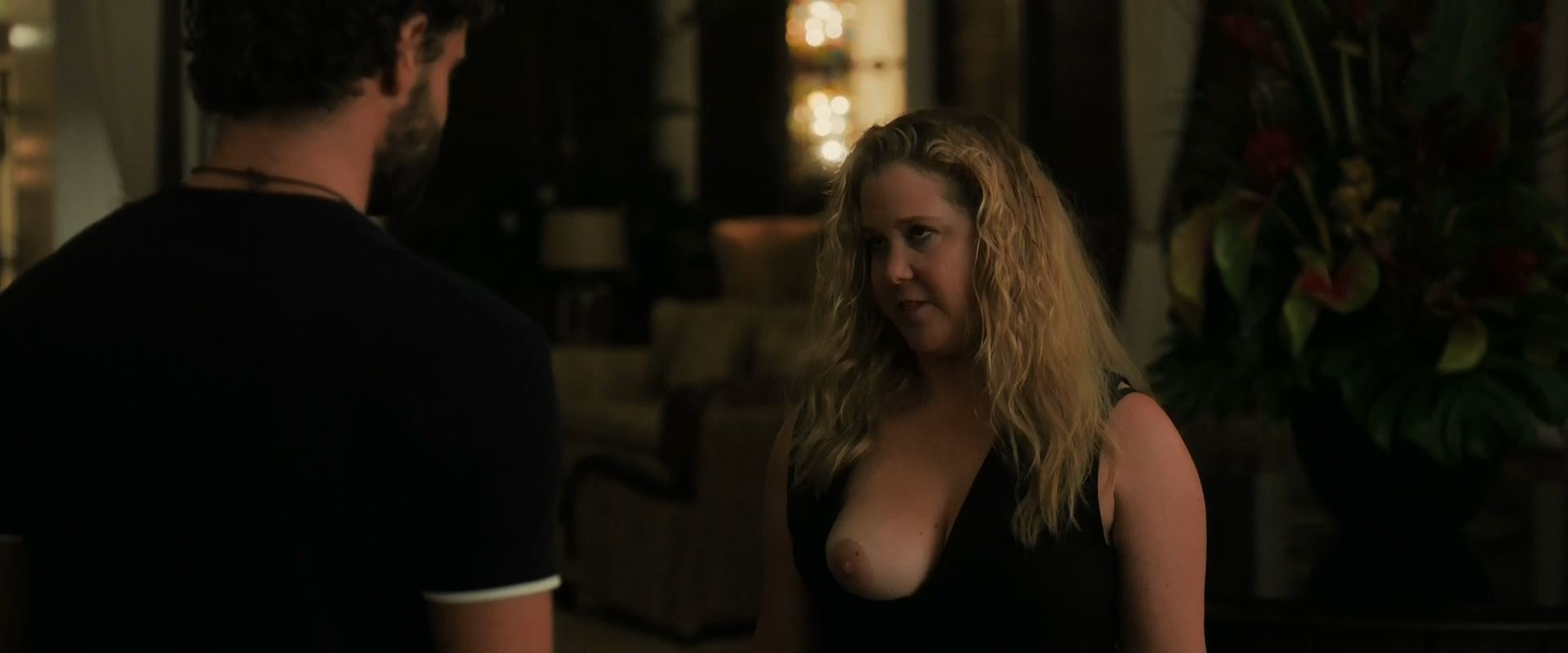 Amy Schumer Nude & Sexy - Snatched (2017) 1080p BluRay