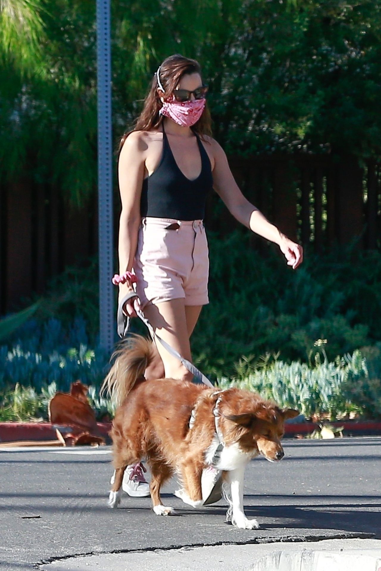 Aubrey Plaza & Jeff Baena
 Take Their Two Dogs for the Daily Walk (38 Photos)