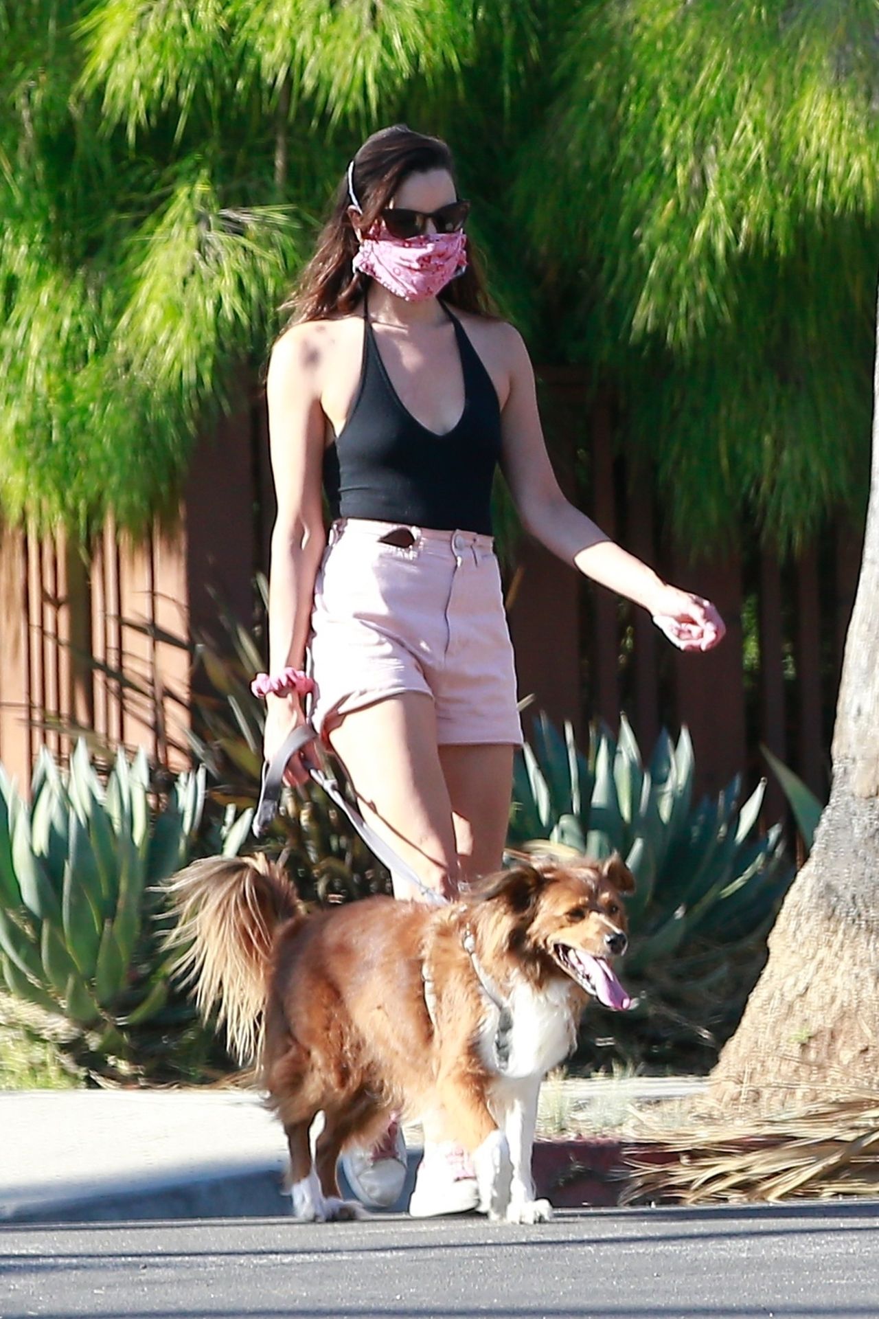 Aubrey Plaza & Jeff Baena Take Their Two Dogs for the Daily Walk (38 Photos)