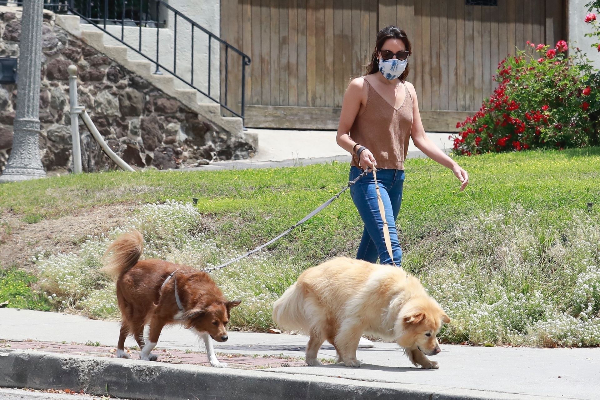 Braless Aubrey Plaza Takes Her Dogs For a Walk in Los Feliz (29 Photos)