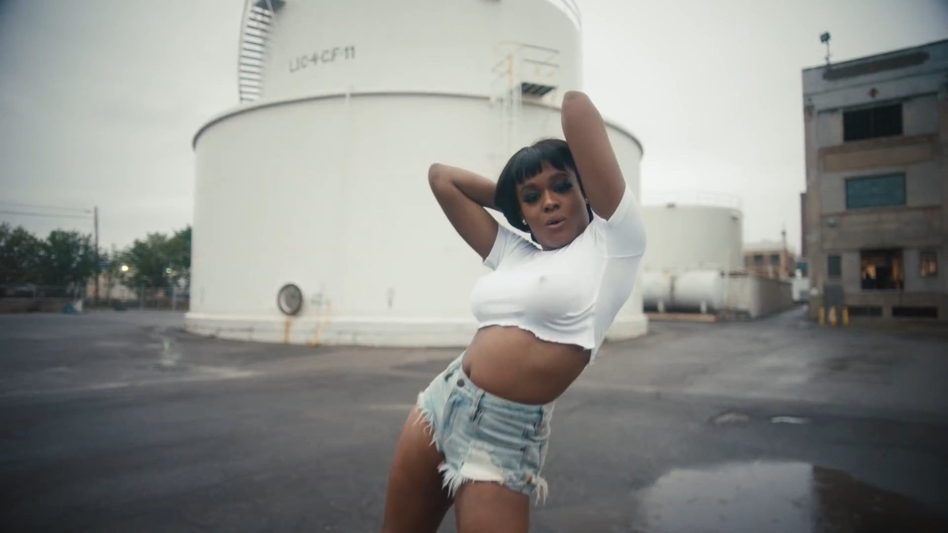 Azealia Banks Sexy (92 Pics + GIFs & Video)