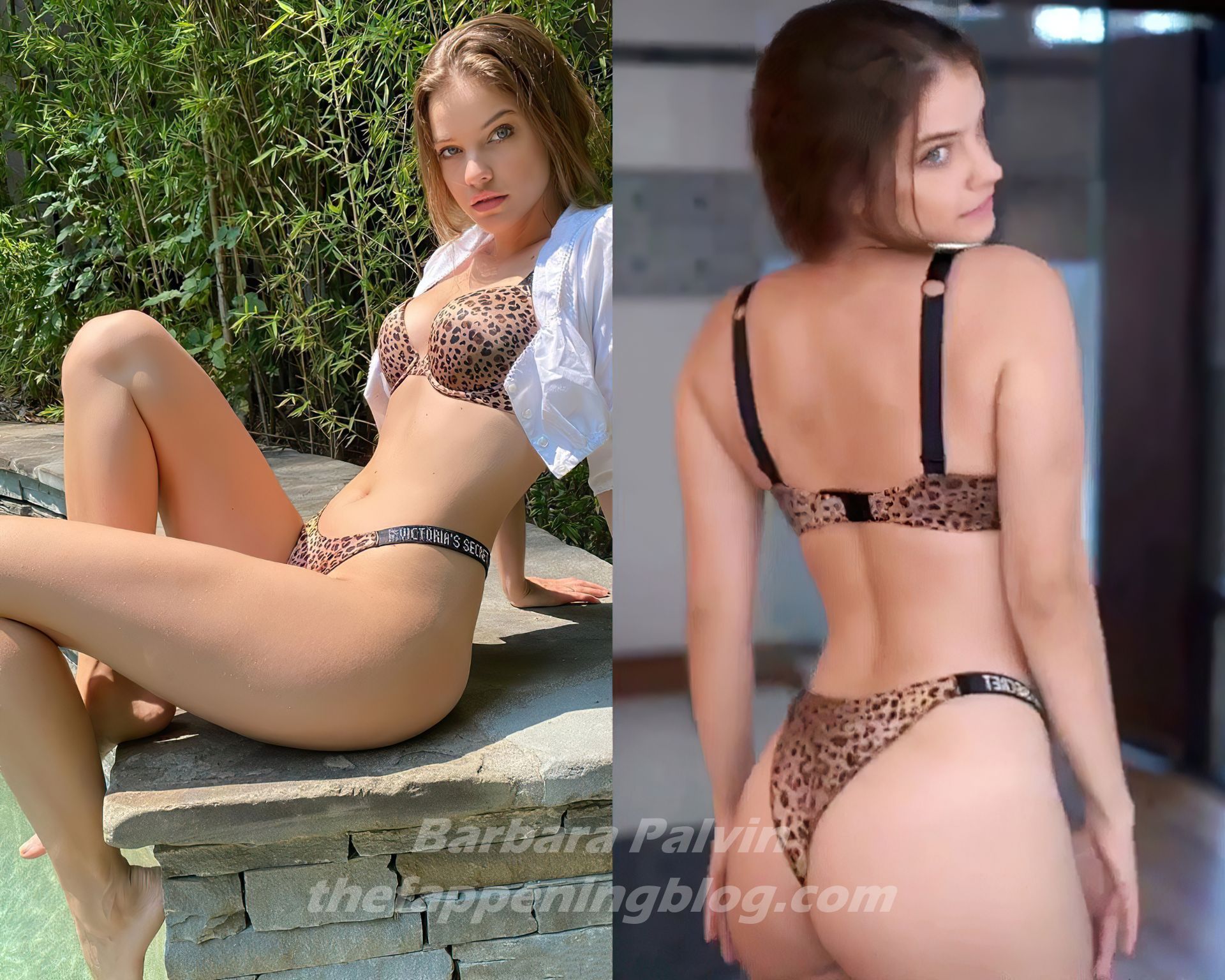 Barbara Palvin Shows Off Her Sexy Body in Lingerie (15 Photos + GIF & Video)