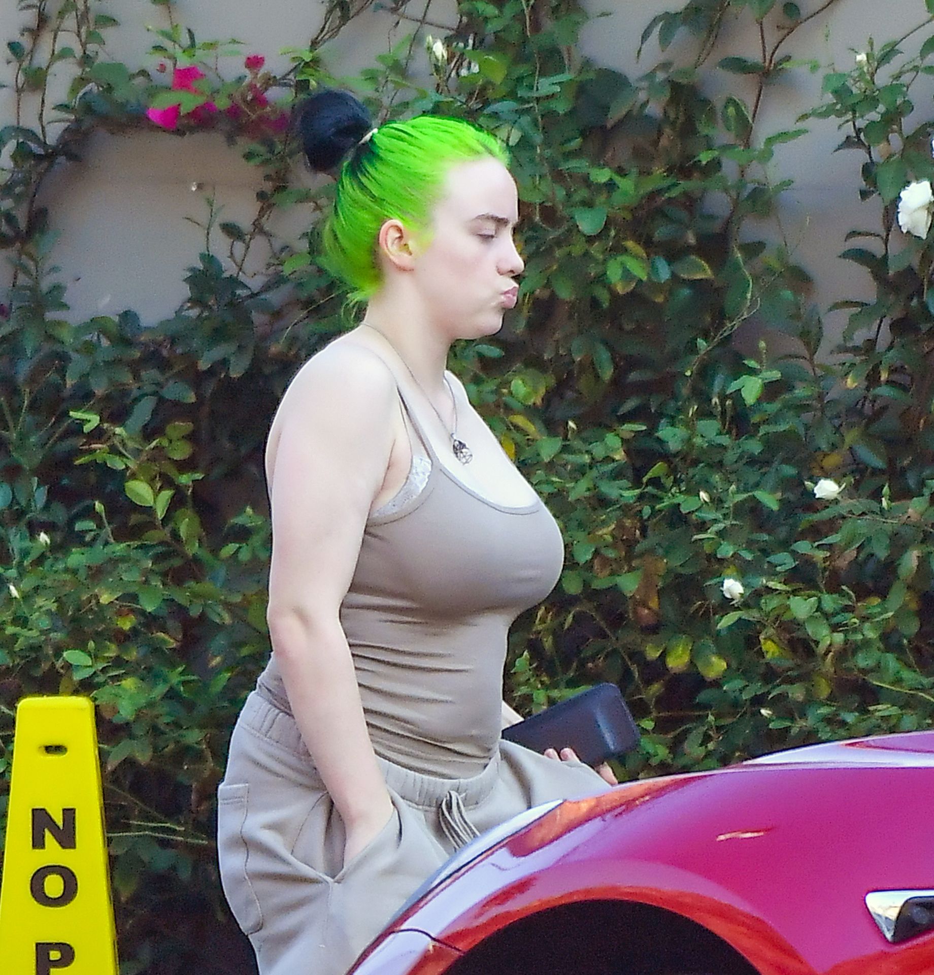 Busty Billie Eilish Steps Out in Los Angeles (8 Photos)