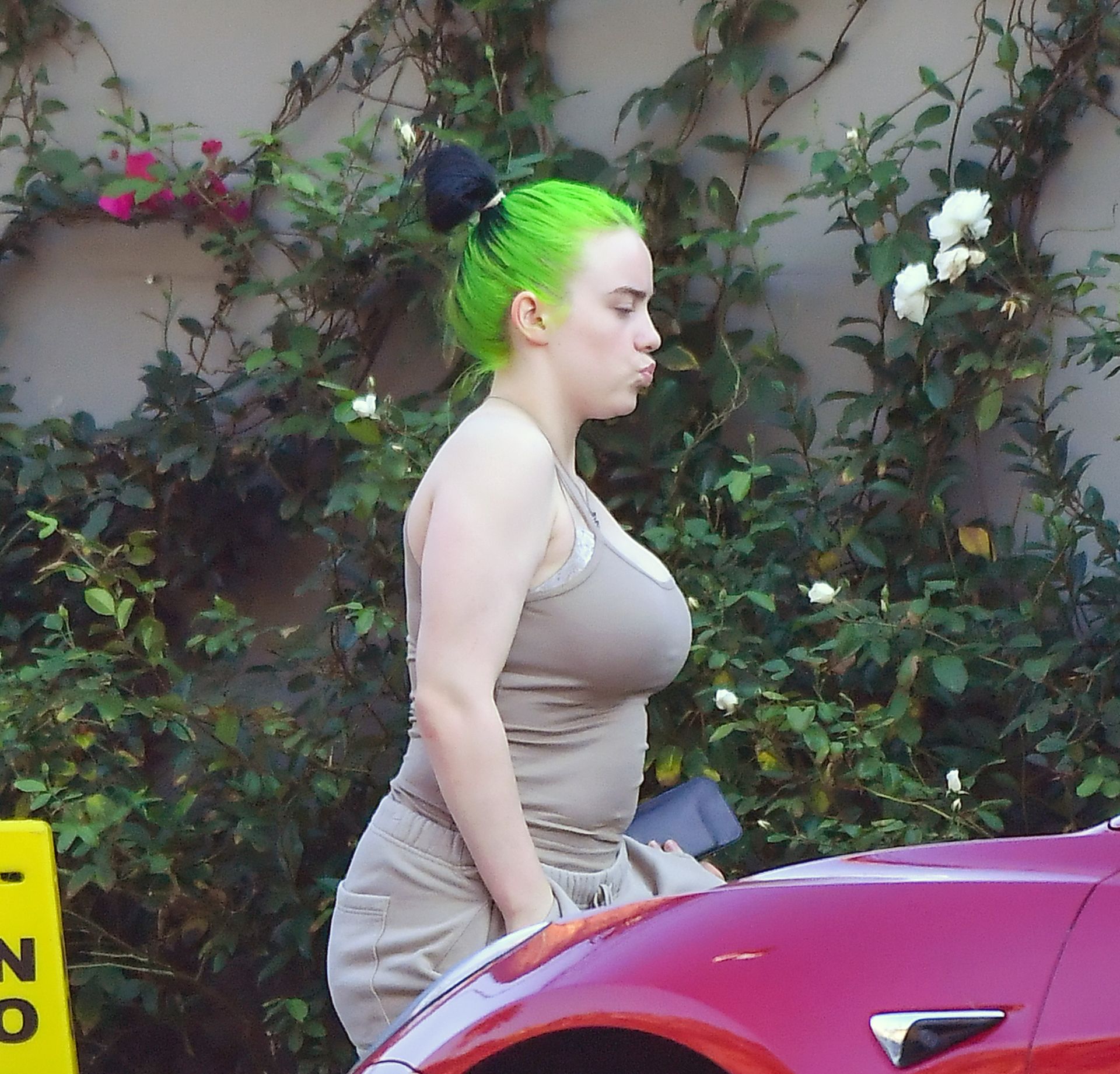 Busty Billie Eilish Steps Out in Los Angeles (8 Photos)