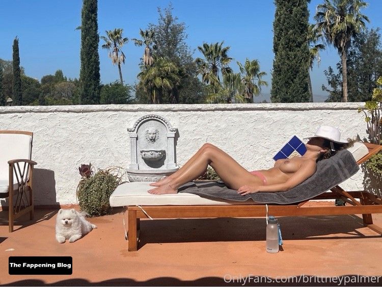 Brittney Palmer Nude Collection (68 Photos + Videos) [Updated]
