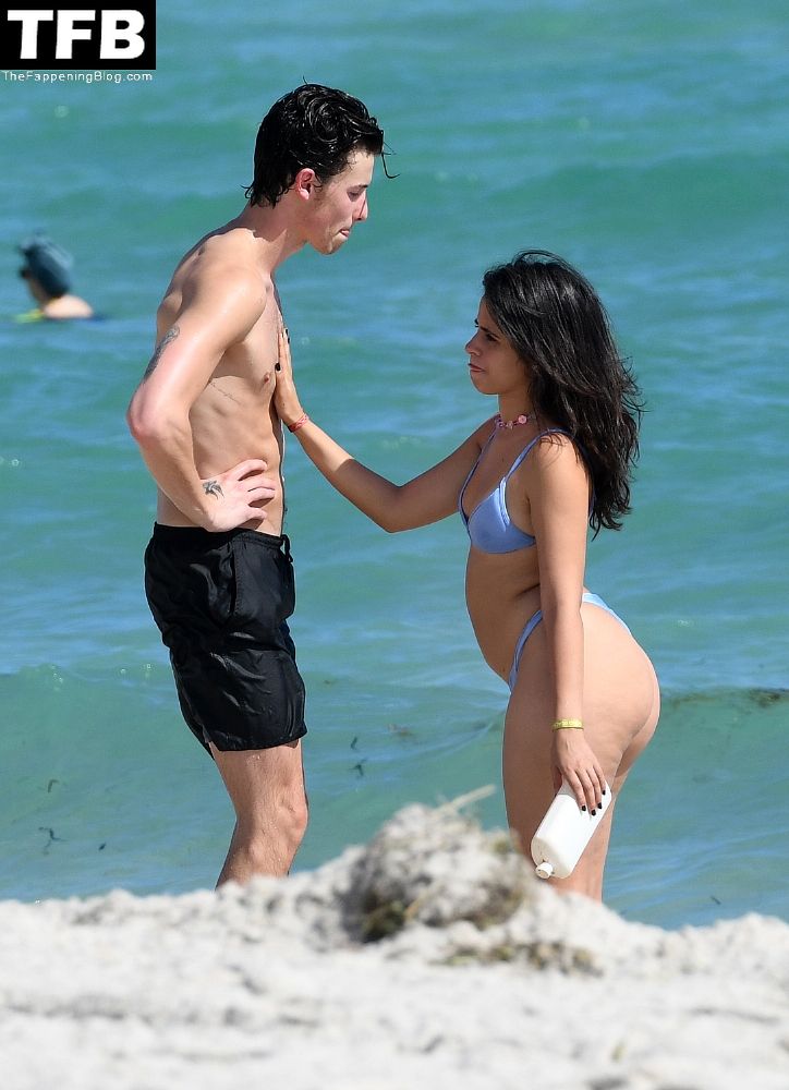 Camila Cabello & Shawn Mendes Enjoy the Beach in Miami (85 Photos)