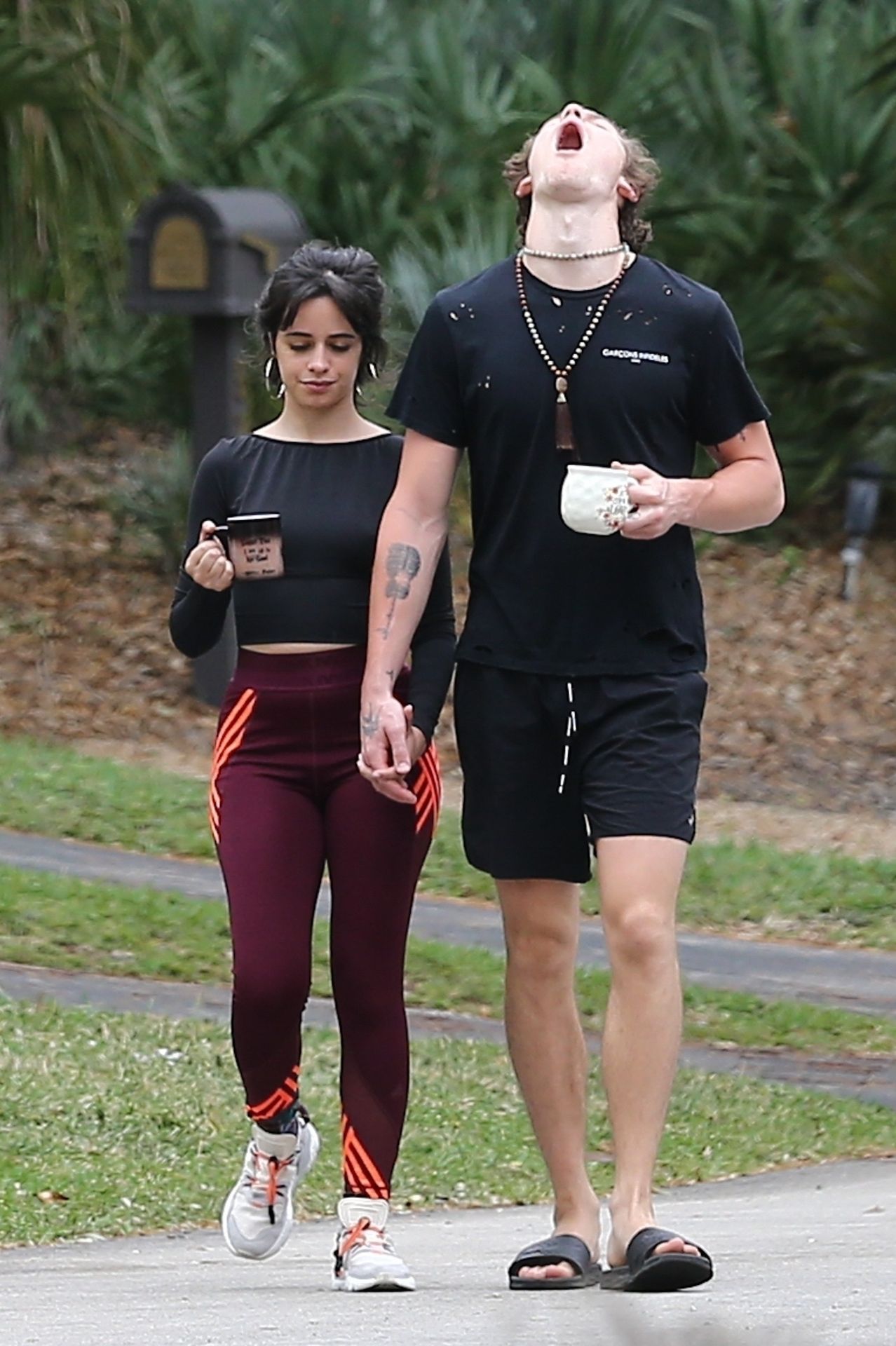 Camila Cabello & Shawn Mendes Hold Hands During a Morning Walk in Miami (32 Photos)