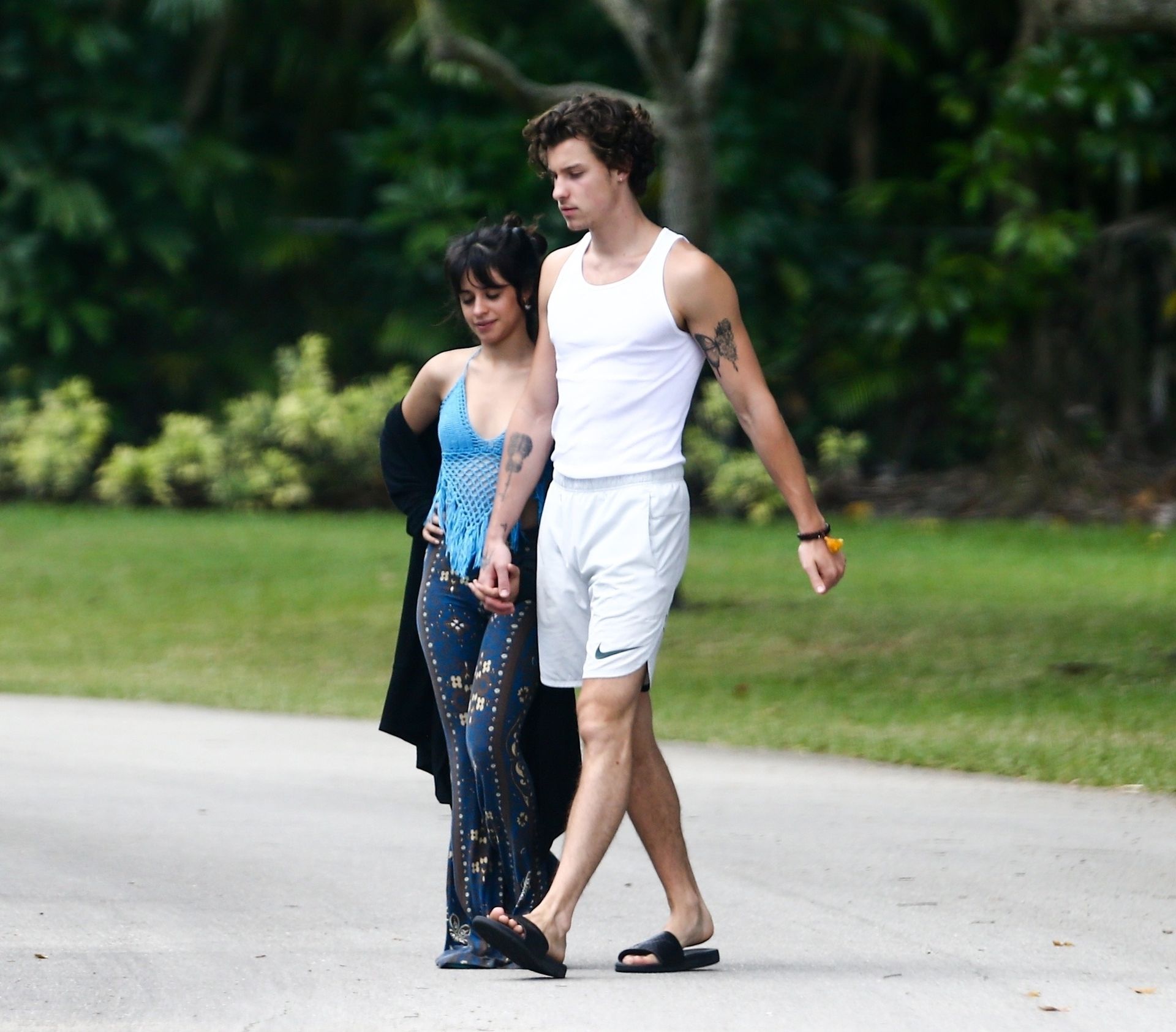 Camila Cabello & Shawn Mendes Take a Morning Walk (49 Photos)