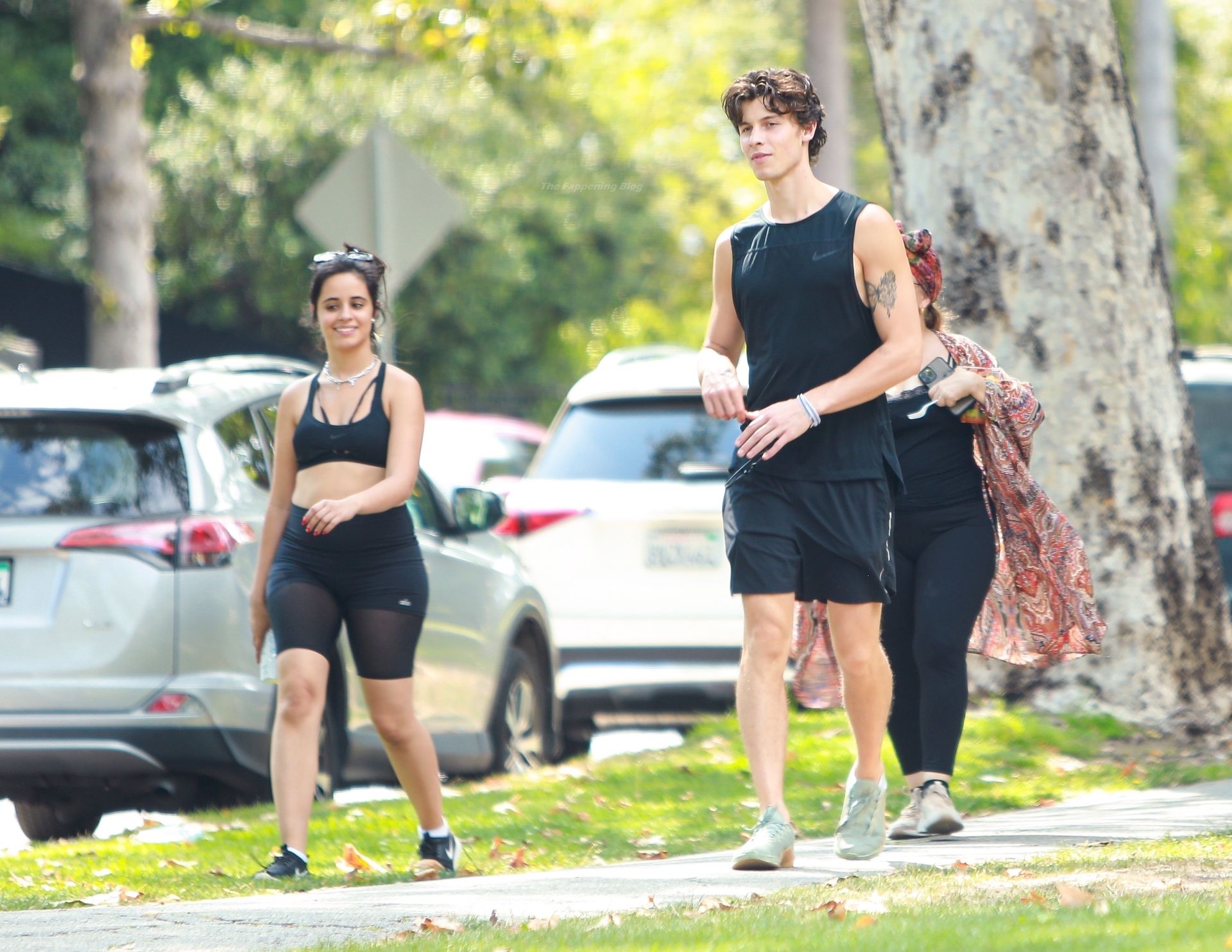 Camila Haar & Shawn Mendes Maak een wandeling in Beverly Hills (96 Foto's)