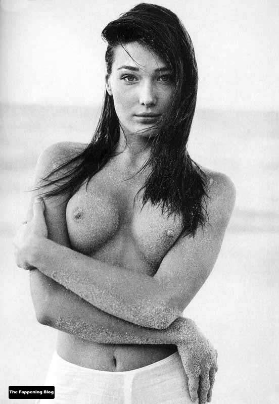 Carla Bruni Nude & Sexy Collection (40 Photos)