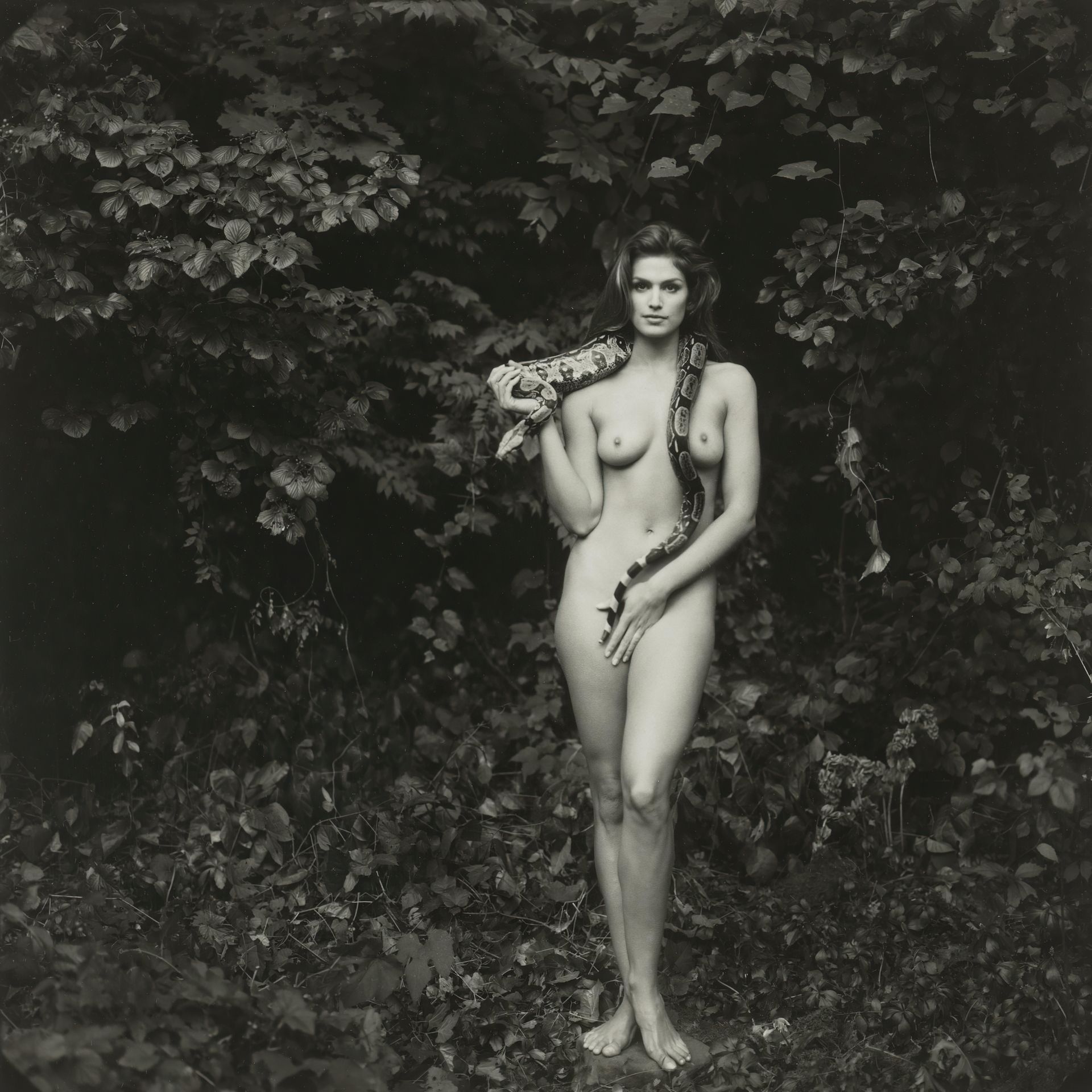Cindy Crawford Nude (2 Hot Photos)