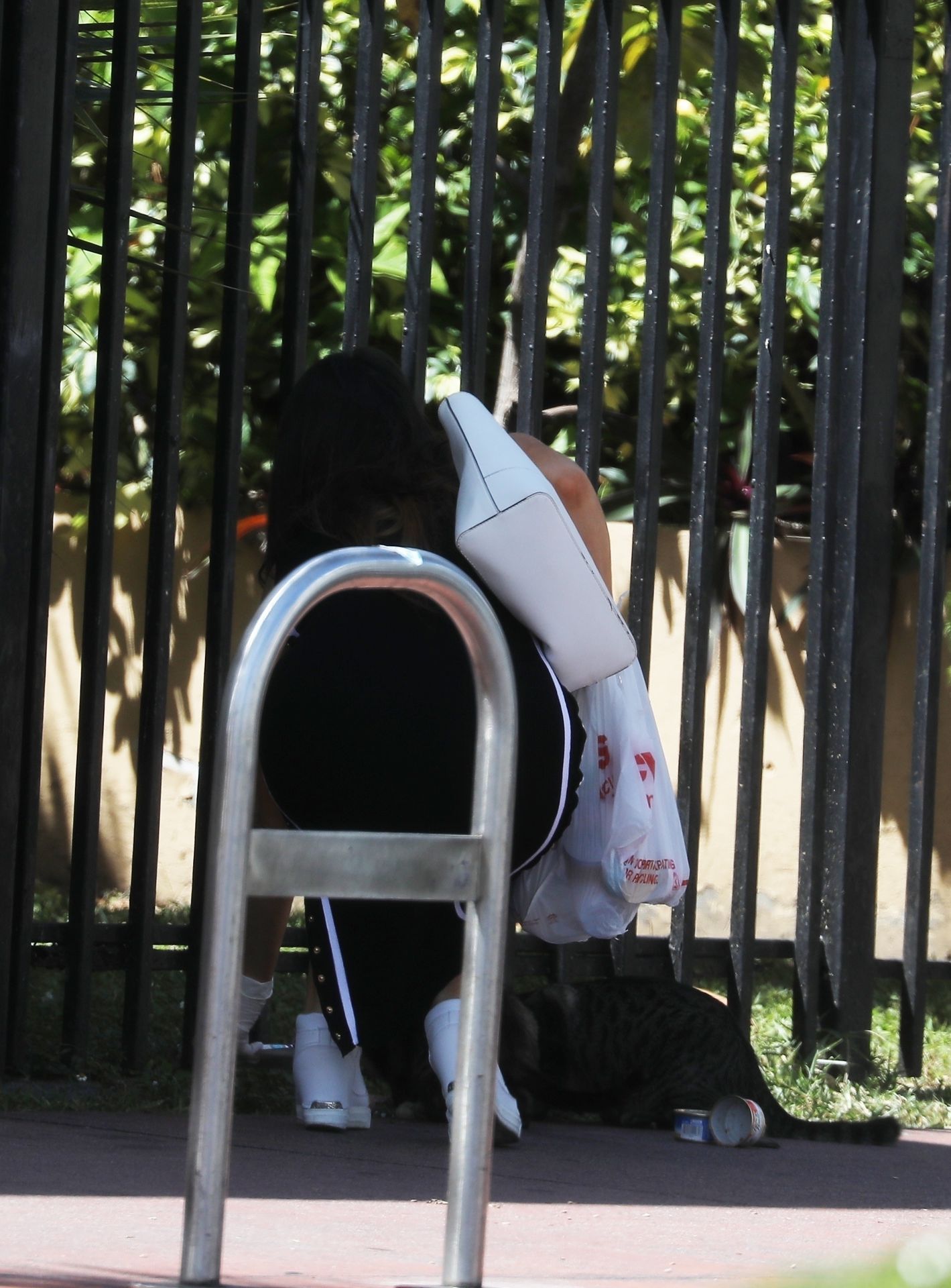 Claudia Romani Feeds the Neighborhood Cats During the Coronavirus Emergency (18 Photos)