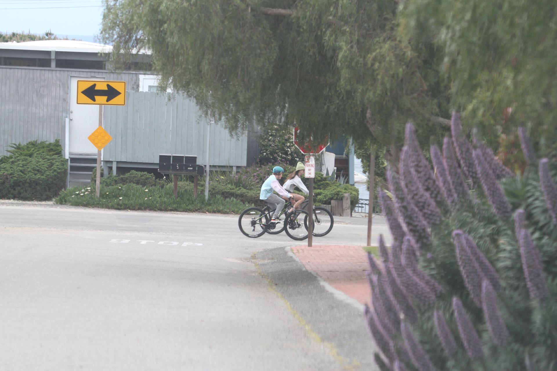 Dakota Johnson  Chris Martin Take His Kids Out for a Bike Ride in Malibu (58 Photos)