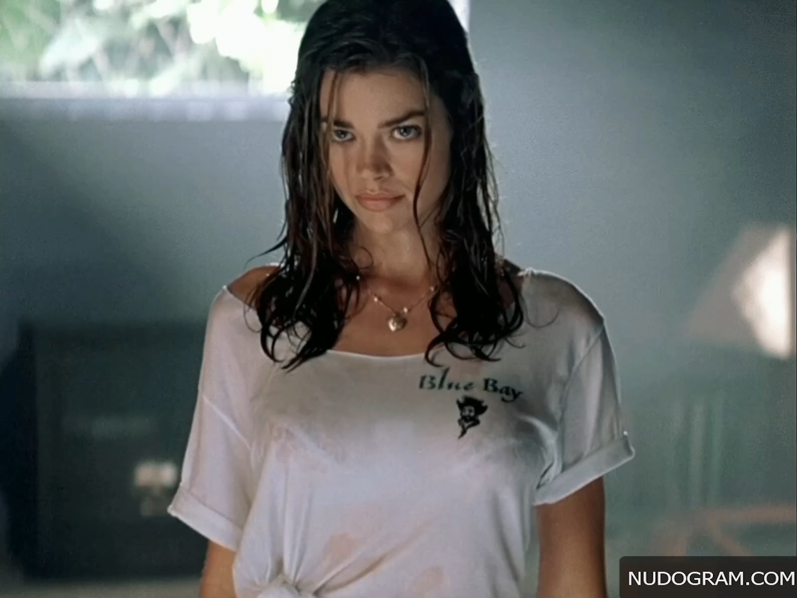 Denise Richards Nude - Wild Things (25 Pics + Videos)